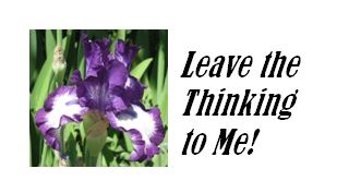 Think For Me